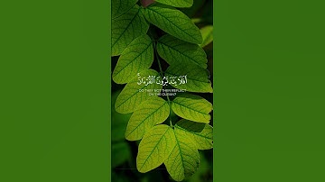 #قران_كريم#تلاوات_خاشعة#قرآن #راحة_نفسية#لايك #تيك_توك#تلاوات #لايك #اكسبلور#اسلاميات