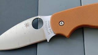 Spyderco Sage 5 CPM REX121. Sharpening and microscopy:  Silicon Carbide (SiC)