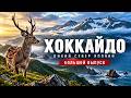 Остров Хоккайдо. Каким мы его ещё не видели | Большой выпуск | 4K