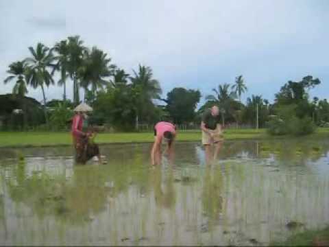 Carrie and I plant rice in Don Det, Laos
