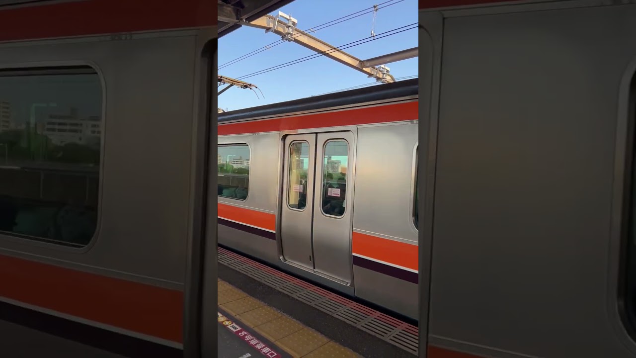 Train passing (JR Keiyo Line) 