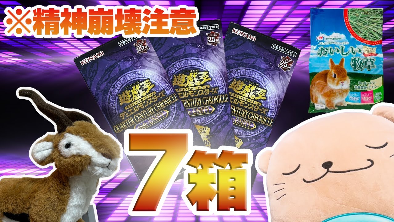 閲覧注意】7箱大開封！「QUARTER CENTURY CHRONICLE side:UNITY」で  