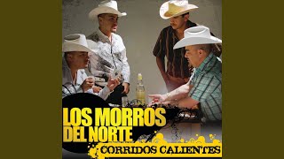 Video thumbnail of "Los Morros del Norte - Los 3 Valientes"