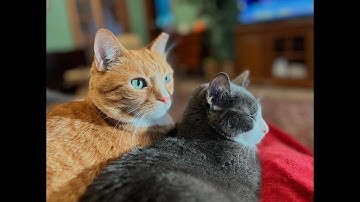 Episode 3047 ChatWSA 12/19/25