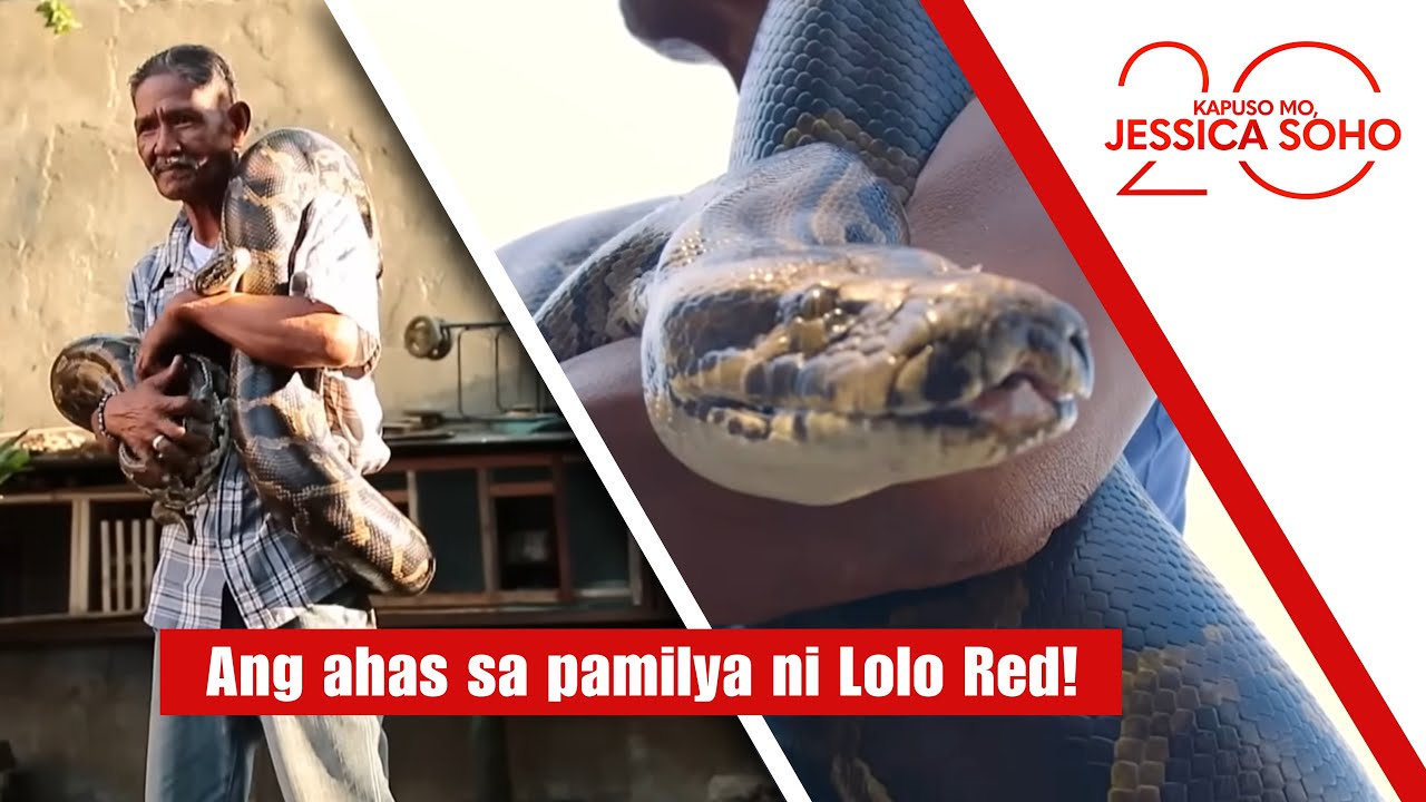 Ang ahas sa pamilya ni Lolo Red! | Kapuso Mo, Jessica Soho