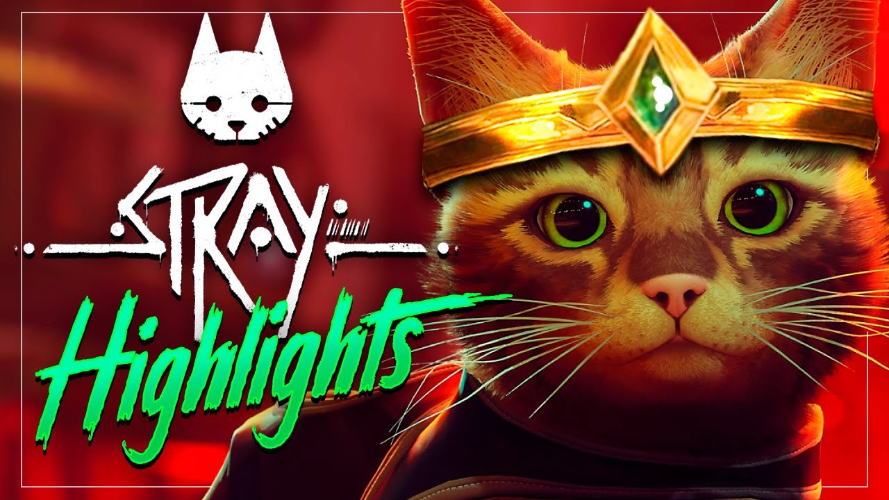 STRAY l MEJORES MOMENTOS JUGANDO A MI PROPIO JUEGO JAJASJDJ  XD