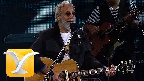 Thumbnail of Yusuf Cat Stevens, Oh Very Young, Festival de Viña 2015 HD 1080p