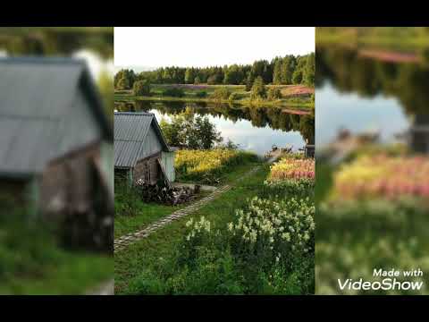 ДЕРЕВЕНСКИЕ МОТИВЫ! 🌾🌱🌻🌻🌻#душевнаяпесня #хорошеенастроение