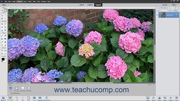 Photoshop Elements 2021 Tutorial Unsharp Mask Adobe Training