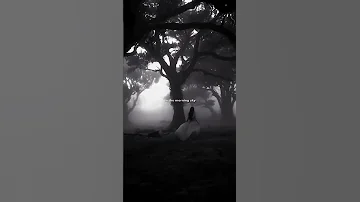 Lana Del Rey Summertime Sadness Lyrics Think I Ll Miss You Forever Song Music Slowed 