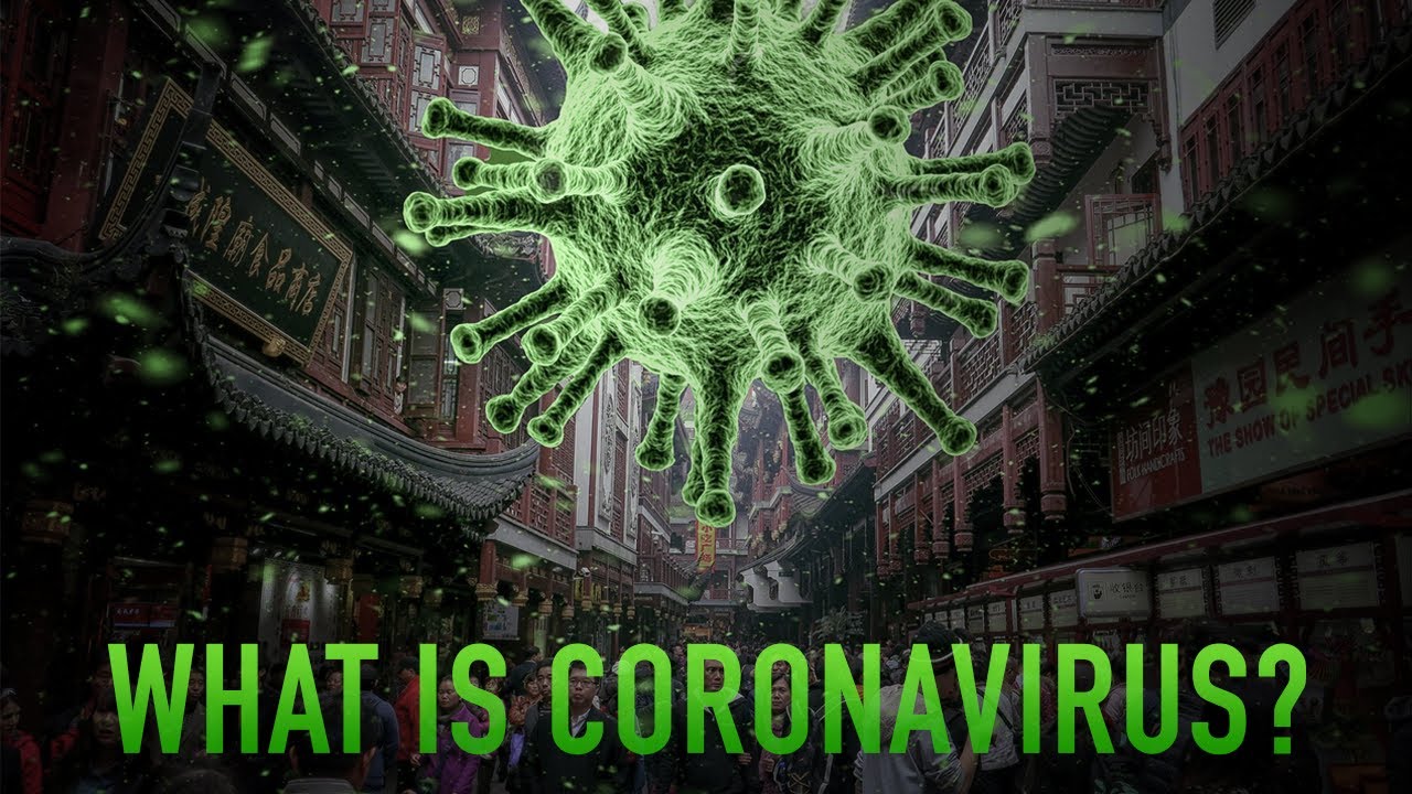 What Is Coronavirus? How Is it Transmitted, and How Can You Stay Safe?