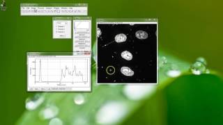 Fiji Is Just ImageJ - Counting Cells, Part 1 - Nuclei