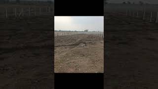 Land available for sale, approximately 42 KM from Mysuru / Mysore.