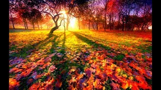 Очень Красивое Видео Про Осень!🍂 🍁🍂 Очарование Осени В Красках!