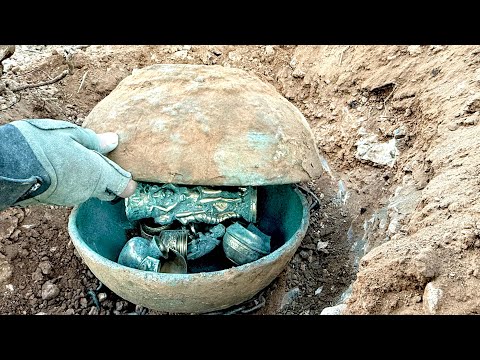 كنز غريب في جدع شجرة إستخراج ذهب بكاشف المعادن