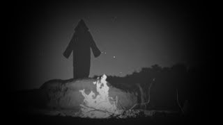 Pain Chemistry - Black Fire