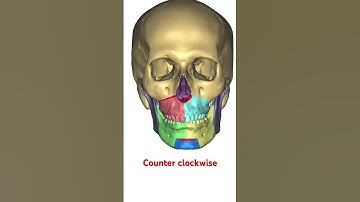 Counter clockwise BIMAX jaw surgery