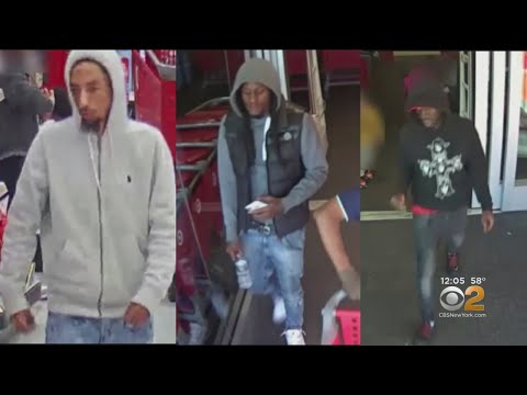 Police: Burglary Suspects