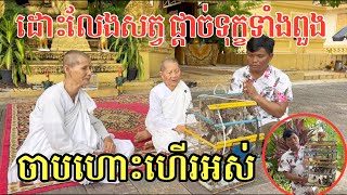 #2227 ផ្តល់សេរីភាព ឱ្យអភ័យទាន ដល់សត្វ | សម្បត្តិជន