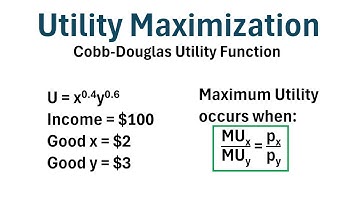 Utility Maximization with a Cobb-Douglas Utility Function