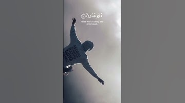 دع أصابعك تشهد لك وأكتب ماتؤجر عليه ♡︎✨  ‌‎♡︎ #سورة_الإخلاص  ‌‎♡القـارئ #شريف_مصطفي ‌‎🤍🌿