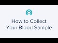 How to collect your blood sample using stepbystep instructions  letsgetchecked home health tests