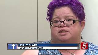 Fraudulent service dogs pose problems for real service dogs and their handlers