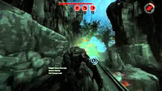 evolve solo que