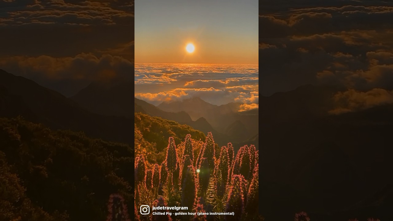 Morning hike Madeira Portugal 🇵🇹. #travel #bucketlist #madeira #portugal #hiking #sunrise