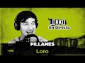 Pillanes, una superbanda chilena | Lokko Clips