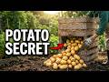 The Amish Lazy Stack Method That Grows 100 Pounds In 4 Square Feet 