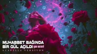 Muhabbet Bağında Bir Gül Açıldı - Şah Hatayi Acapella Versiyon