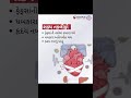 દર 100 માંથી 1 બાળકને જન્મજાત હૃદયની બીમારી | CHD Awareness | Olympus Hospitals