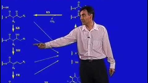 Overview of Polyketides and Polyketide Biosynthesis