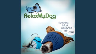 Dog Music for Anxiety and Stress