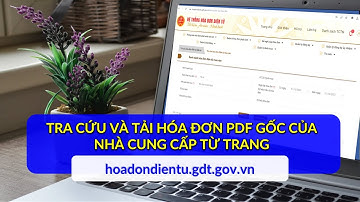 TẢI HÓA ĐƠN PDF GỐC CỦA NHÀ CUNG CẤP DỄ DÀNG TỪ TRANG Hoadondientu.gdt.gov.vn