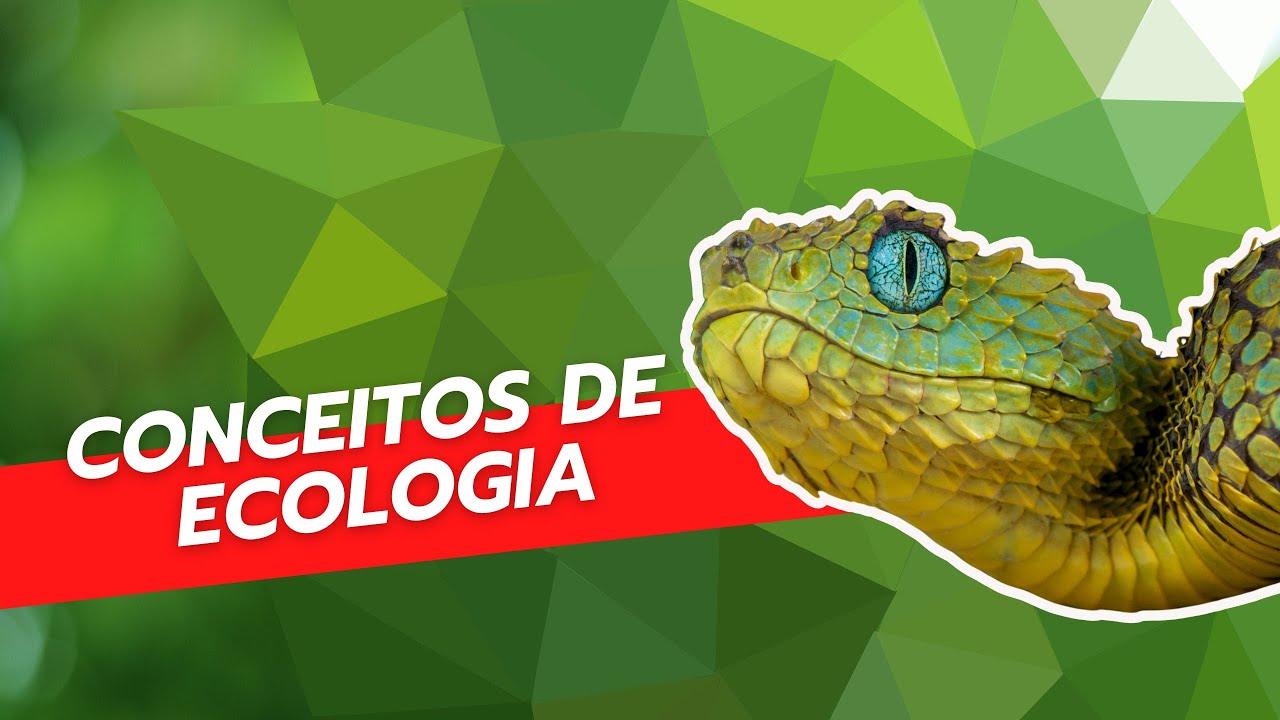 Conceitos de ecologia