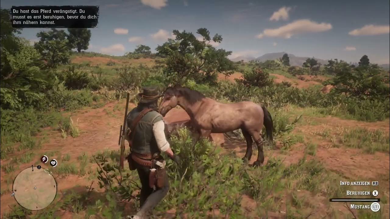 Tiger Striped Bay Mustang Tigerstreifen Brauner Mustang Horses (RDR2) YouTube