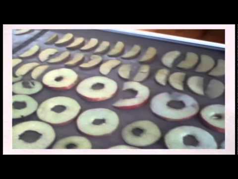 ხილის გადამუშავების ალტერნატიული მეთოდი ნაწილი1 #16