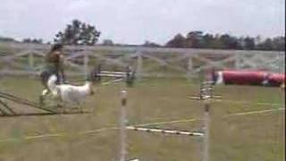 Sparrow's Jackpot Run in CPE, April 26