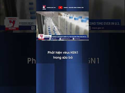 Phát hiện virus H5N1 trong sữa bò| Tin Tức Dân Sinh