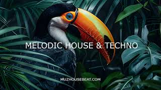 Best New Hype Melodic House & Techno April 2024