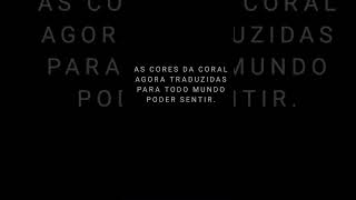 Tintas Coral - Touching Color - Cores que tocam - Voz da Denise Carpi