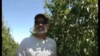 Reportage Canicule Vergers du Grand Clos- M6 le mardi 30 juin 2026