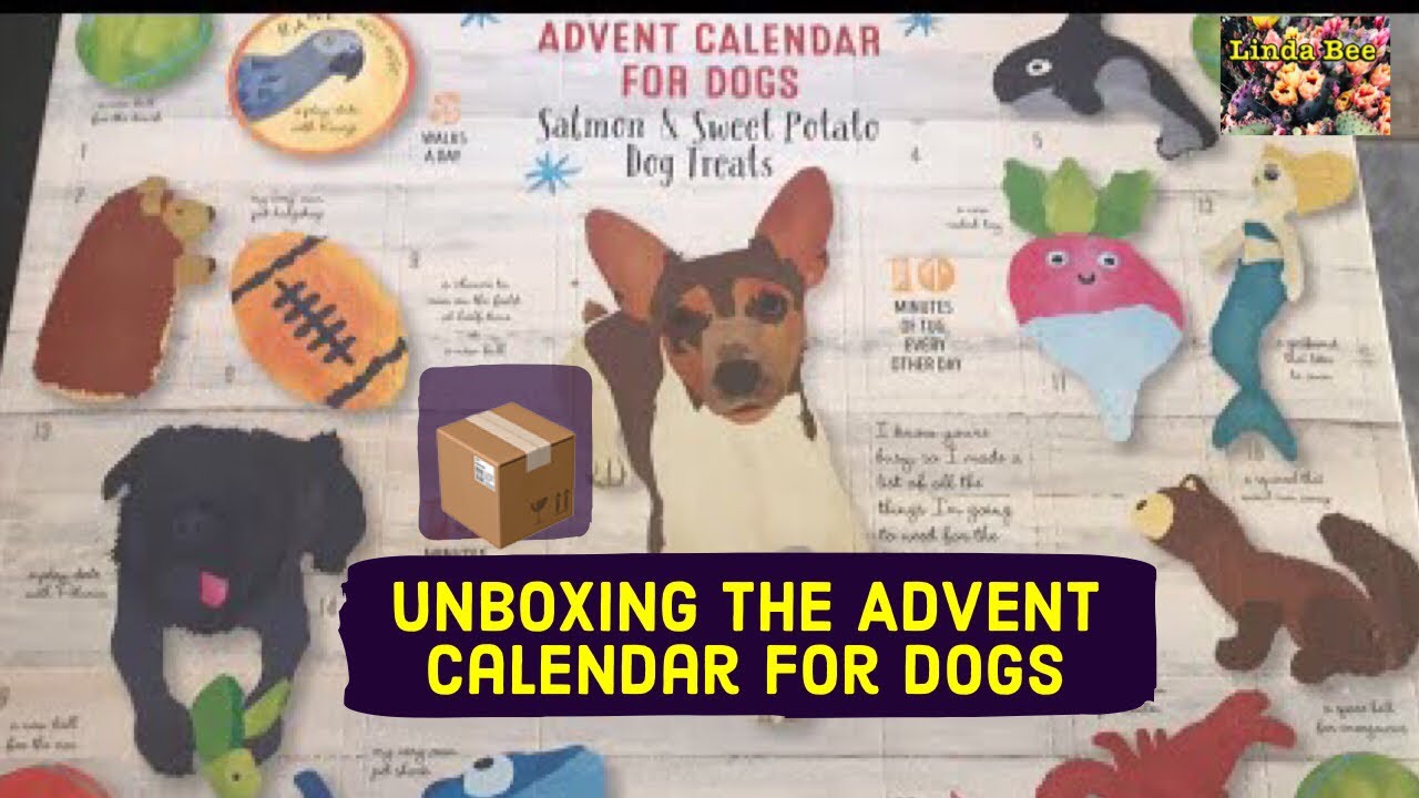 Unboxing the Dog Advent Calendar - YouTube