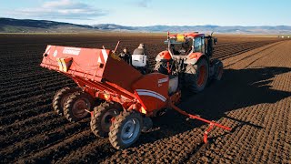 4K Potato planting - 2024 - Drone video - Ferma Kanabe - Free bird solo - Grimme - Farming