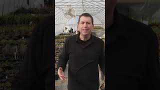 Plant Hormones Cheat Codes For Growing Plants