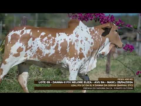 LOTE 09 - AVU 84