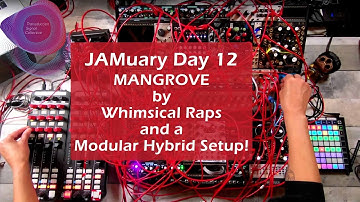 JAMuary 2022! - Day 12 - Melodic Techno Jams W/ The MANGROVE and A Hybrid Modular Rig and Ableton!