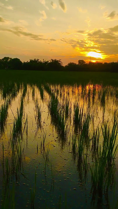 Leo rojas #whatsapp_status #shortsfeed #astetic #short #shortsviral #reel #nature